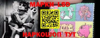 mdpv Гатчина