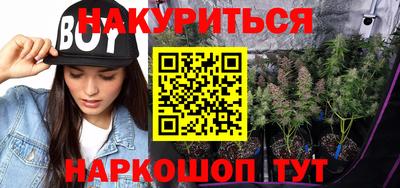 mdpv Гатчина