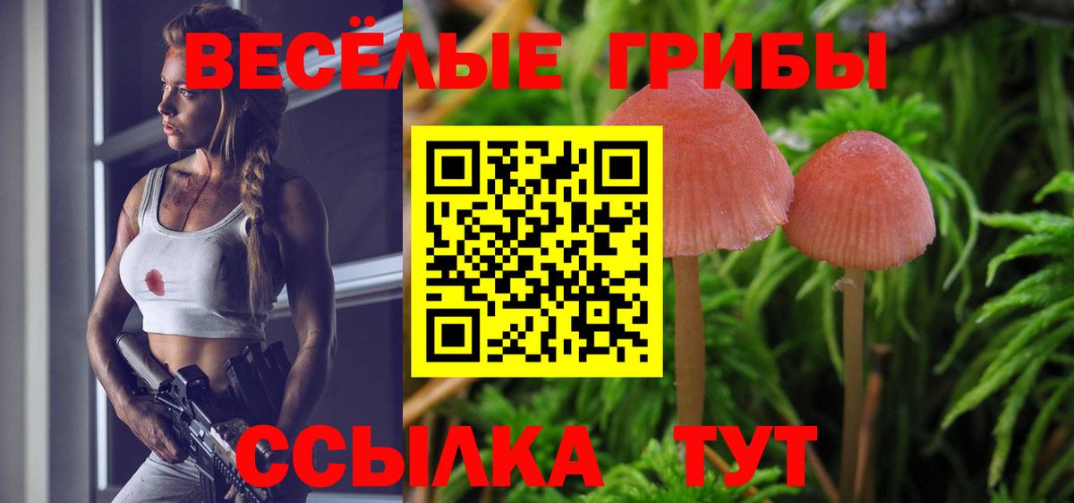 Псилоцибиновые грибы Cubensis  Псилоцибиновые грибы GOLDEN TEACHER  Вход с VPN  Муравленко 